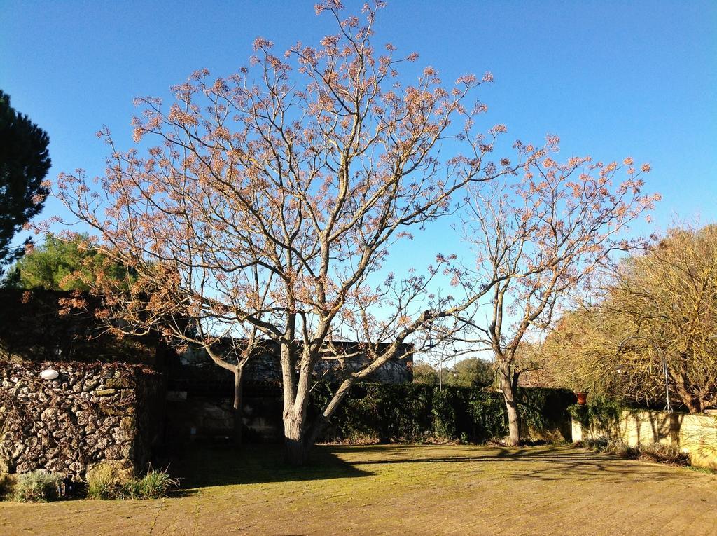 Tenuta Sant'Andrea Giuggianello Екстер'єр фото