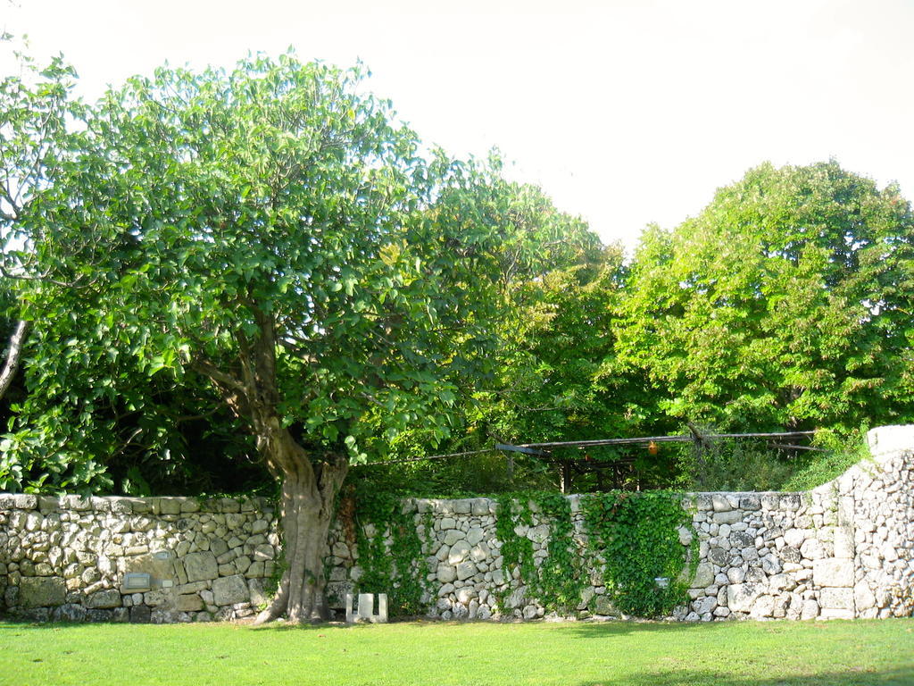 Tenuta Sant'Andrea Giuggianello Екстер'єр фото