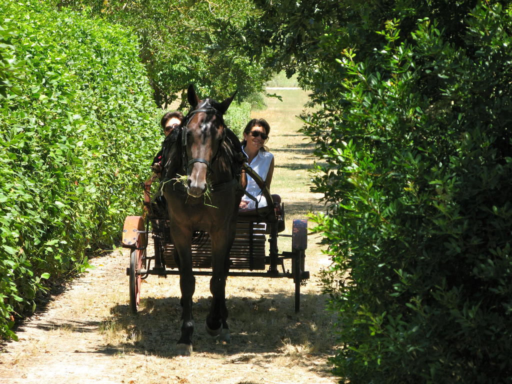 Tenuta Sant'Andrea Giuggianello Екстер'єр фото